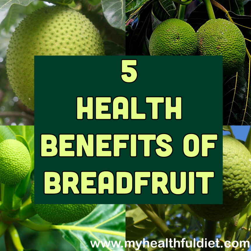 5 Benefits of Breadfruit