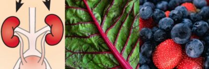 Foods That Improve Kidney Health