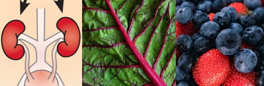 Foods That Improve Kidney Health