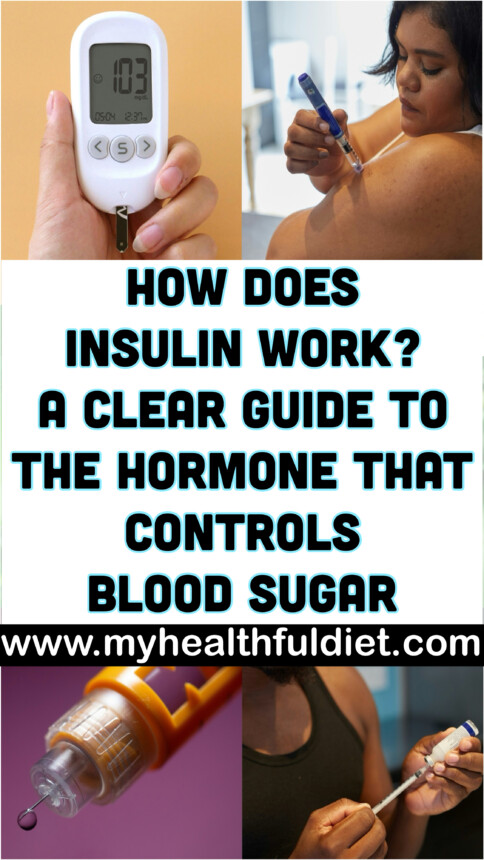 How Does Insulin Work? A Clear Guide to the Hormone That Controls Blood Sugar