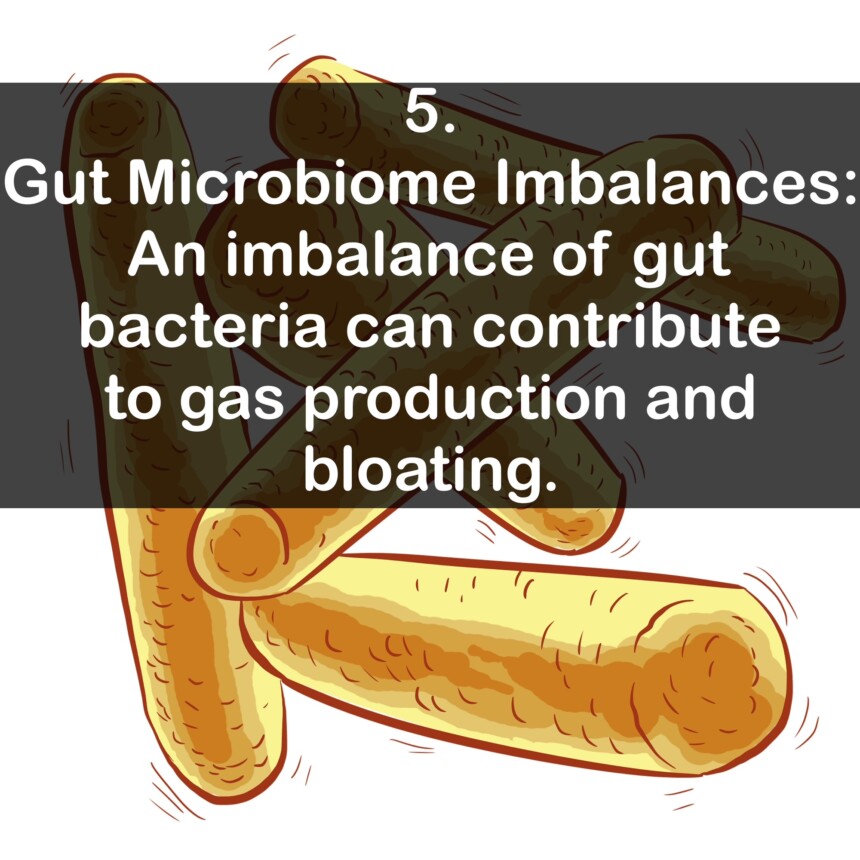 5. Gut Microbiome Imbalances: An imbalance of gut bacteria can contribute to gas production and bloating.