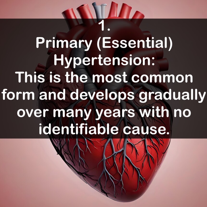 1. Primary (Essential) Hypertension: This is the most common form and develops gradually over many years with no identifiable cause.