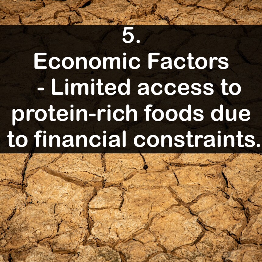 5. Economic Factors - Limited access to protein-rich foods due to financial constraints.