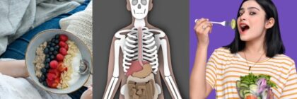 How Is Food Digested in the Body? A Clear, Human Guide to What Really Happens After You Eat