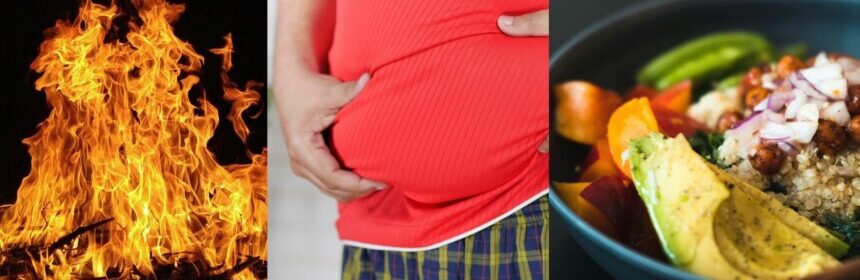 How Your Body Burns and Stores Fat