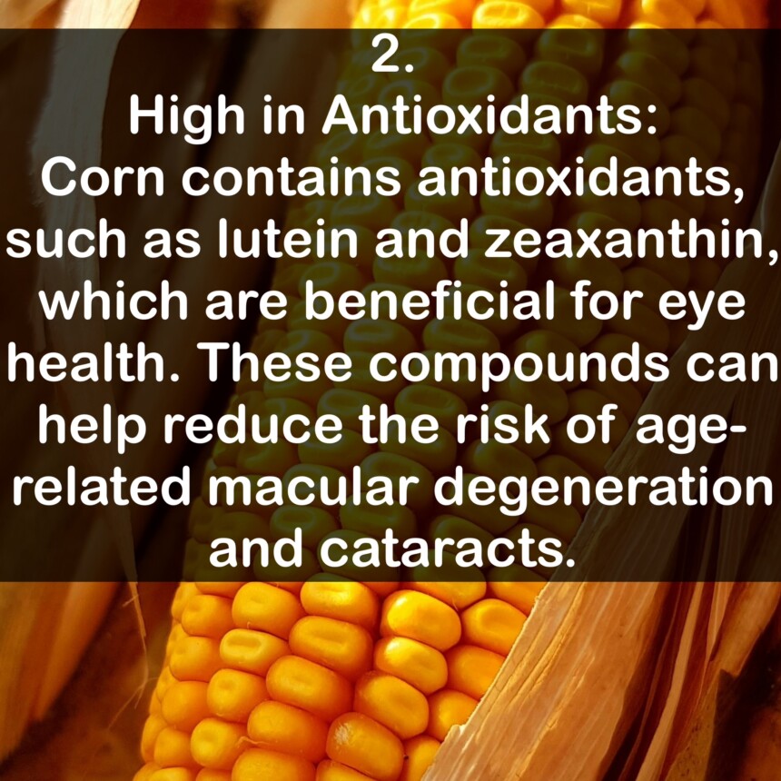 2. High in Antioxidants: Corn contains antioxidants, such as lutein and zeaxanthin, which are beneficial for eye health. These compounds can help reduce the risk of age-related macular degeneration and cataracts.