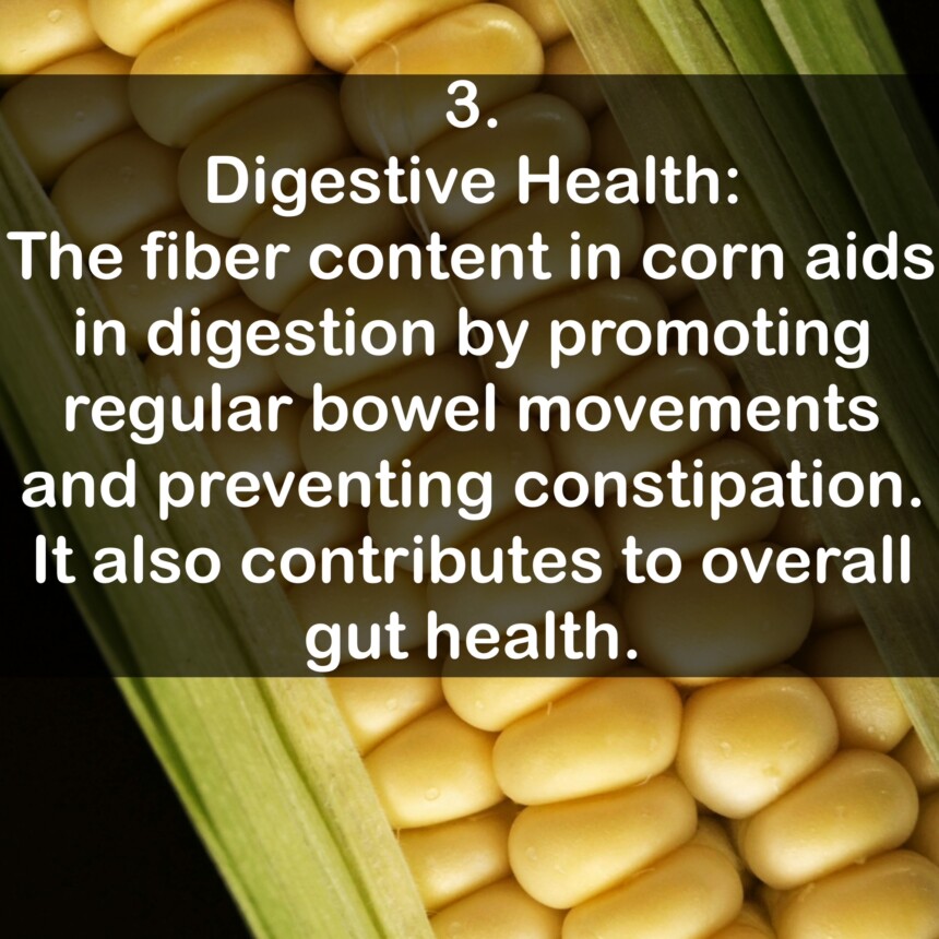 3. Digestive Health: The fiber content in corn aids in digestion by promoting regular bowel movements and preventing constipation. It also contributes to overall gut health.