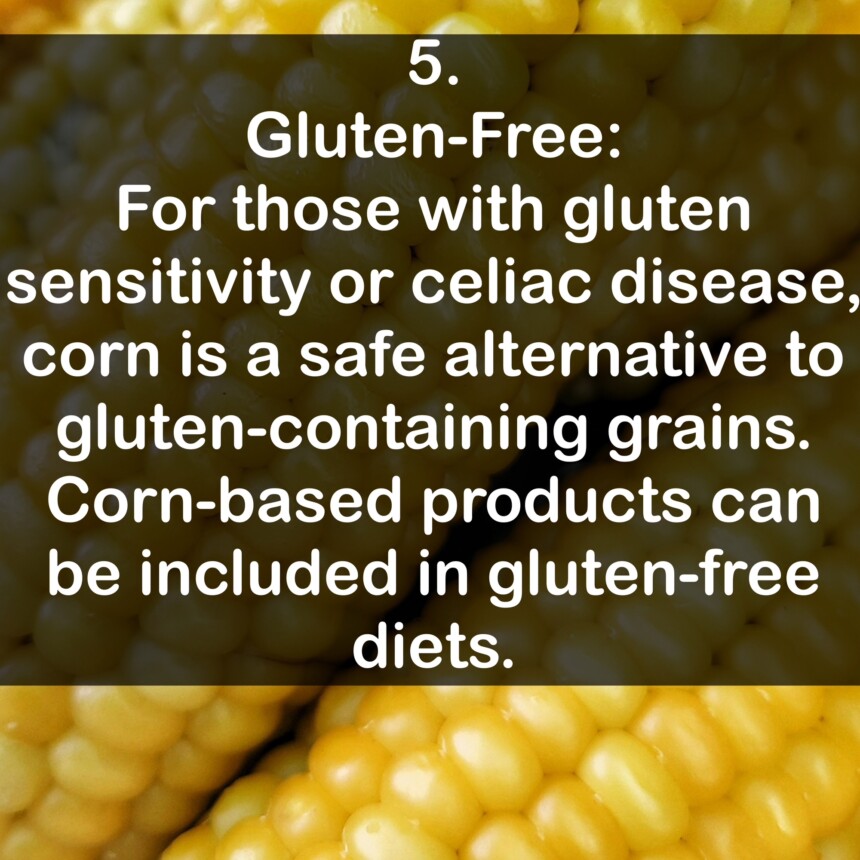 5. Gluten-Free: For those with gluten sensitivity or celiac disease, corn is a safe alternative to gluten-containing grains. Corn-based products can be included in gluten-free diets.