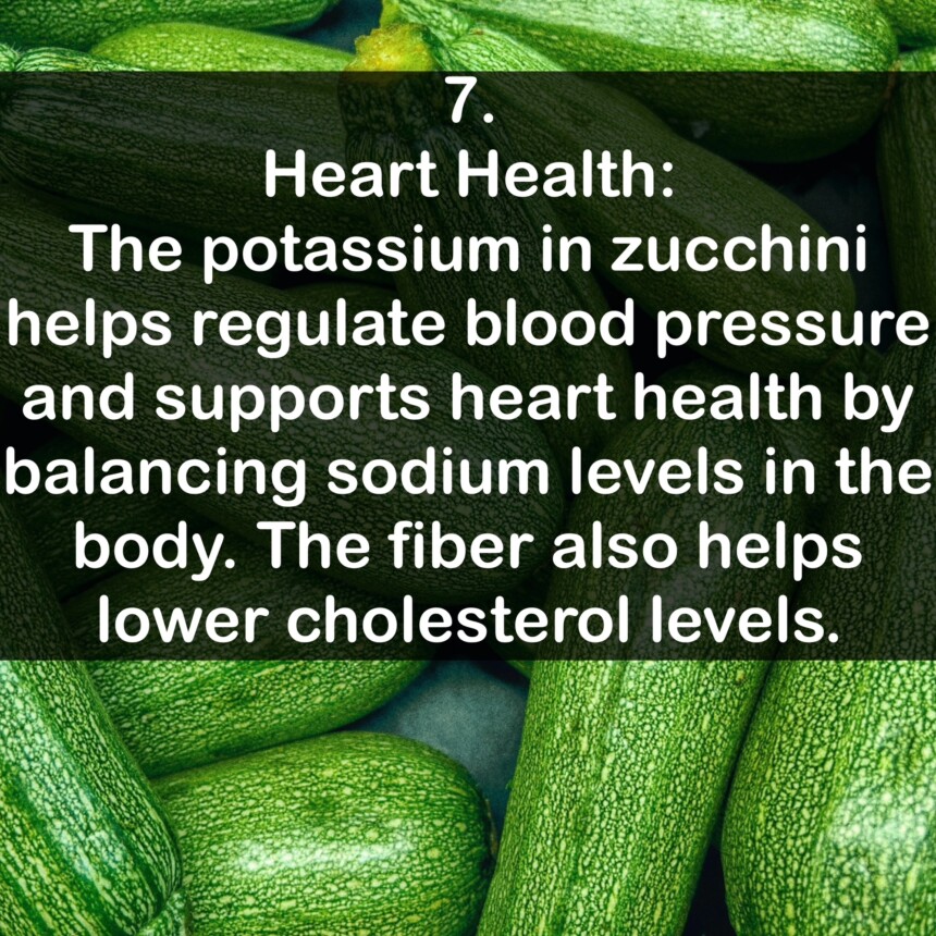 7. Heart Health: The potassium in zucchini helps regulate blood pressure and supports heart health by balancing sodium levels in the body. The fiber also helps lower cholesterol levels.