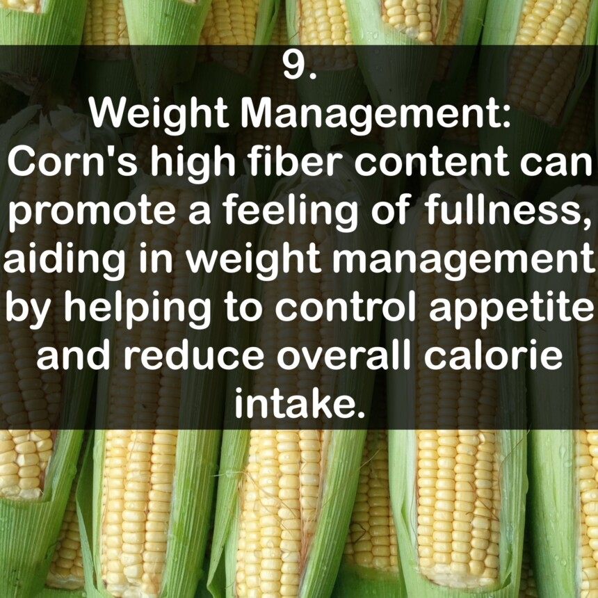 9. Weight Management: Corn's high fiber content can promote a feeling of fullness, aiding in weight management by helping to control appetite and reduce overall calorie intake.