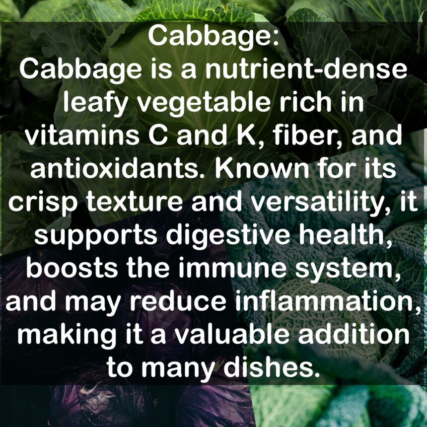 Cabbage is a nutrient-dense leafy vegetable rich in vitamins C and K, fiber, and antioxidants. Known for its crisp texture and versatility, it supports digestive health, boosts the immune system, and may reduce inflammation, making it a valuable addition to many dishes.