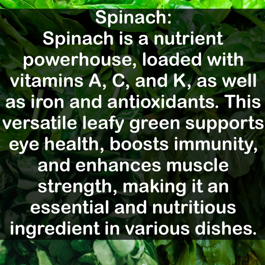 Spinach is a nutrient powerhouse, loaded with vitamins A, C, and K, as well as iron and antioxidants. This versatile leafy green supports eye health, boosts immunity, and enhances muscle strength, making it an essential and nutritious ingredient in various dishes.